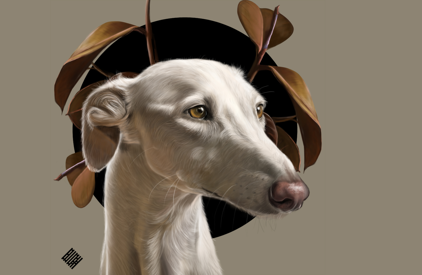 Digital pet portrait