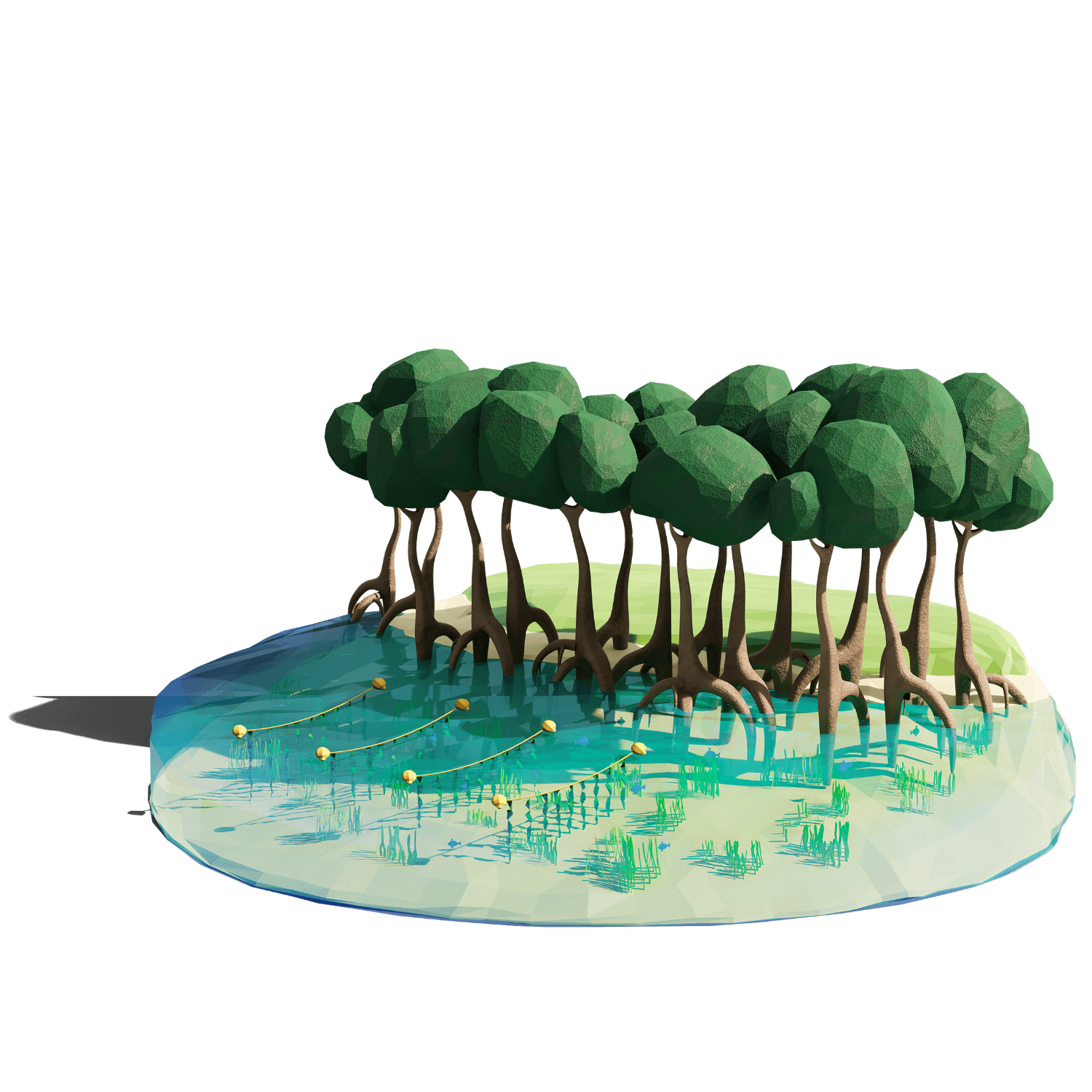 Asset 3
